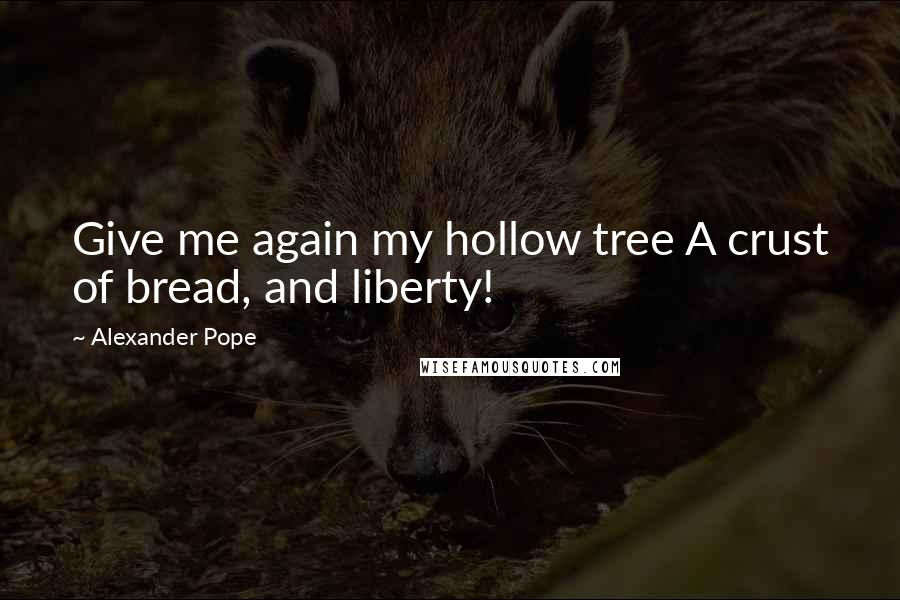 Alexander Pope Quotes: Give me again my hollow tree A crust of bread, and liberty!