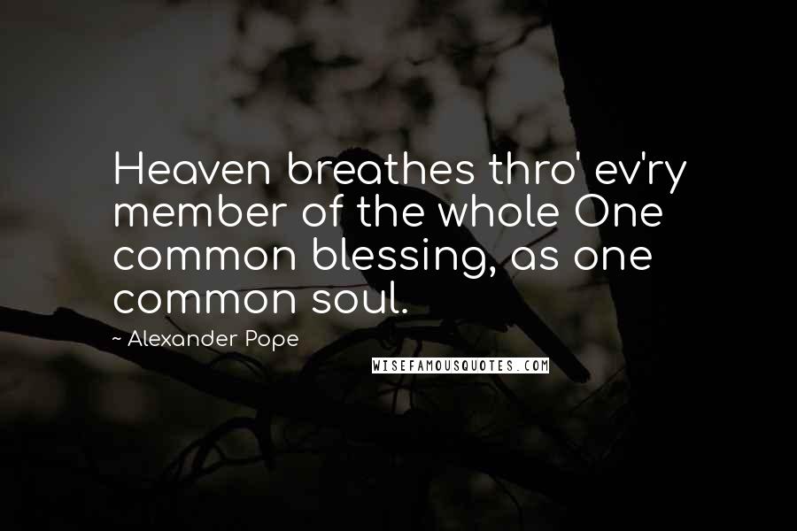 Alexander Pope Quotes: Heaven breathes thro' ev'ry member of the whole One common blessing, as one common soul.