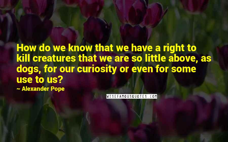 Alexander Pope Quotes: How do we know that we have a right to kill creatures that we are so little above, as dogs, for our curiosity or even for some use to us?