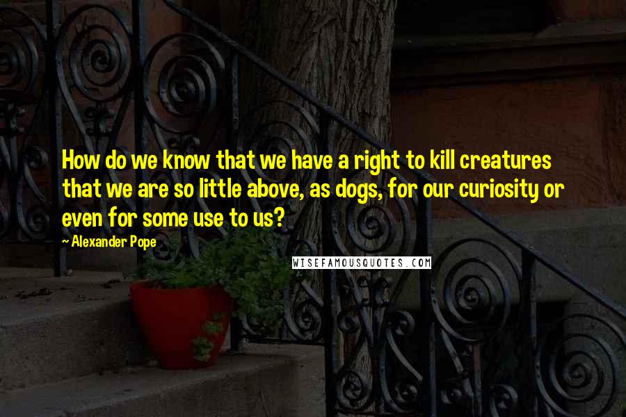 Alexander Pope Quotes: How do we know that we have a right to kill creatures that we are so little above, as dogs, for our curiosity or even for some use to us?