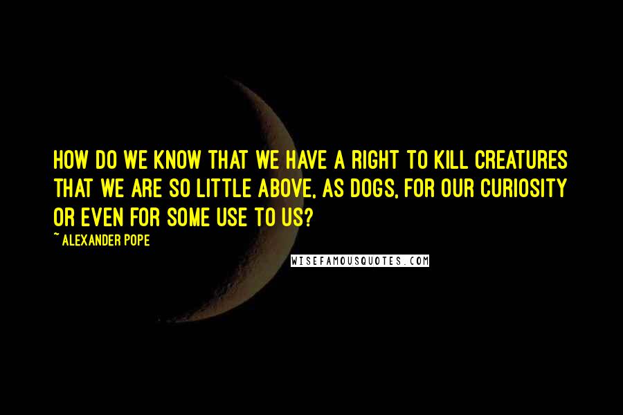 Alexander Pope Quotes: How do we know that we have a right to kill creatures that we are so little above, as dogs, for our curiosity or even for some use to us?