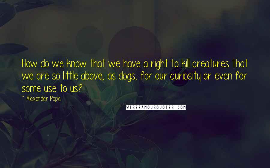 Alexander Pope Quotes: How do we know that we have a right to kill creatures that we are so little above, as dogs, for our curiosity or even for some use to us?