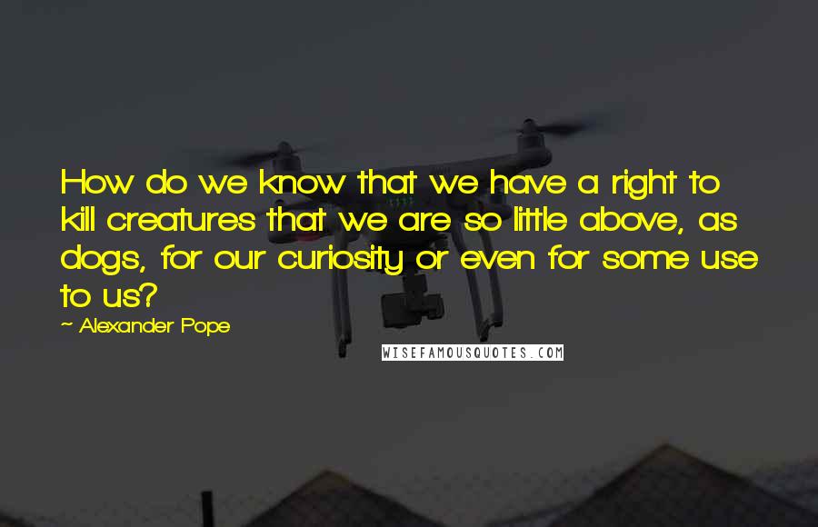 Alexander Pope Quotes: How do we know that we have a right to kill creatures that we are so little above, as dogs, for our curiosity or even for some use to us?