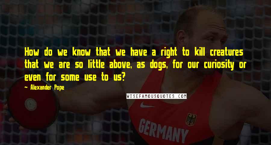 Alexander Pope Quotes: How do we know that we have a right to kill creatures that we are so little above, as dogs, for our curiosity or even for some use to us?
