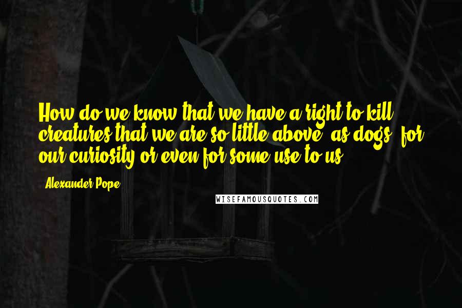 Alexander Pope Quotes: How do we know that we have a right to kill creatures that we are so little above, as dogs, for our curiosity or even for some use to us?