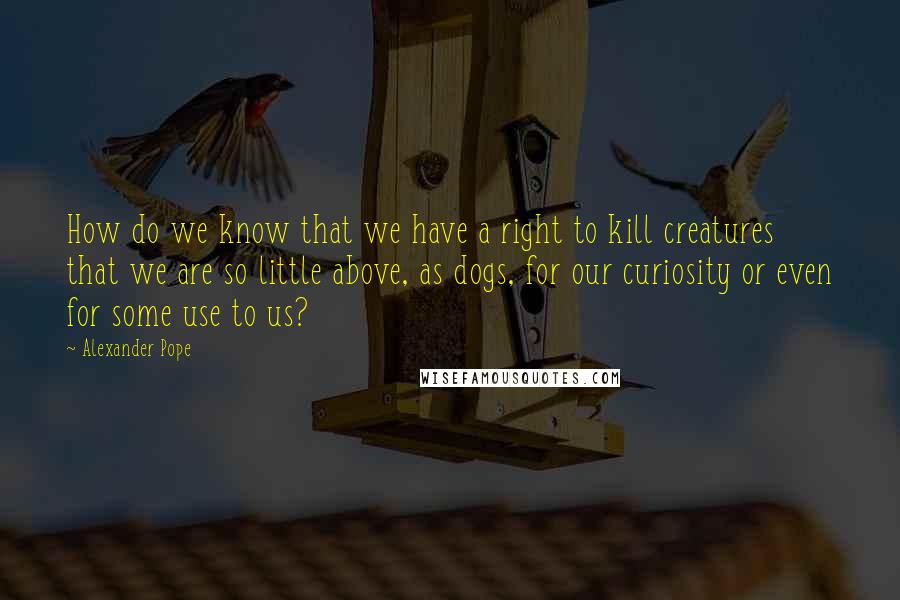 Alexander Pope Quotes: How do we know that we have a right to kill creatures that we are so little above, as dogs, for our curiosity or even for some use to us?