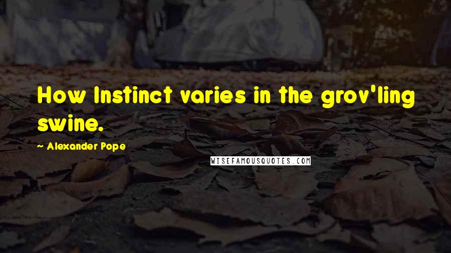Alexander Pope Quotes: How Instinct varies in the grov'ling swine.