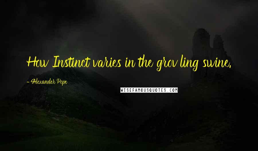 Alexander Pope Quotes: How Instinct varies in the grov'ling swine.