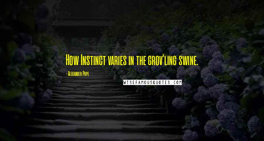 Alexander Pope Quotes: How Instinct varies in the grov'ling swine.