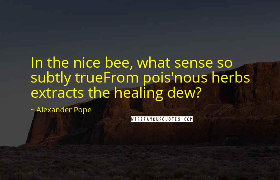 Alexander Pope Quotes: In the nice bee, what sense so subtly trueFrom pois'nous herbs extracts the healing dew?