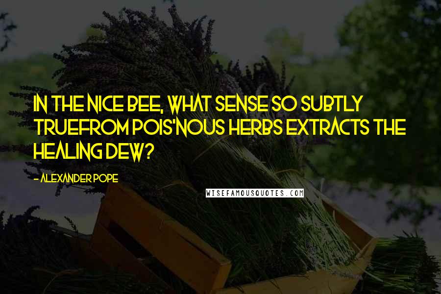 Alexander Pope Quotes: In the nice bee, what sense so subtly trueFrom pois'nous herbs extracts the healing dew?