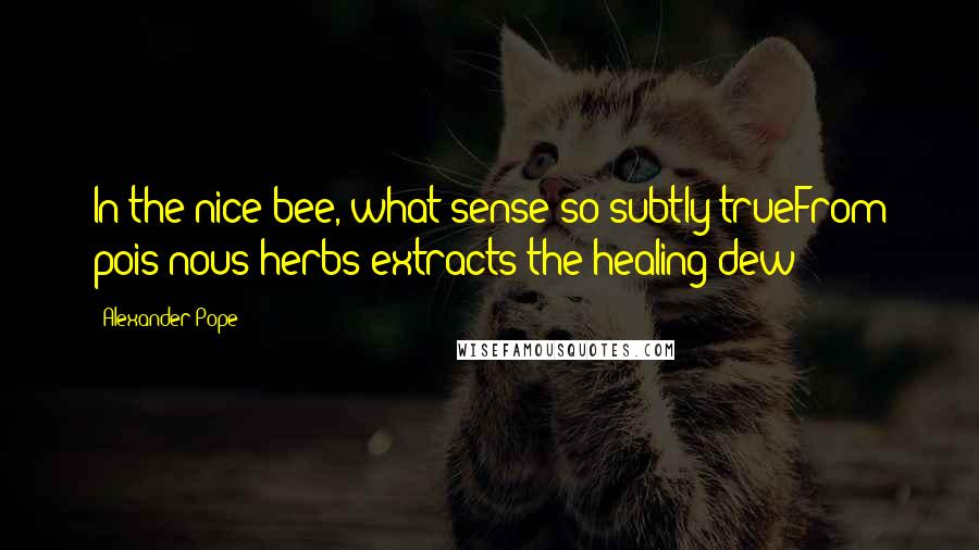 Alexander Pope Quotes: In the nice bee, what sense so subtly trueFrom pois'nous herbs extracts the healing dew?