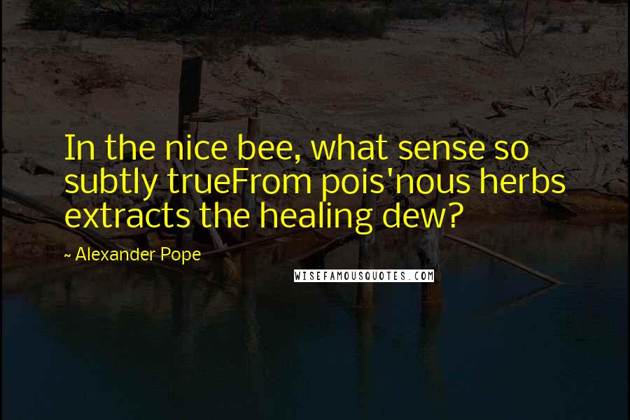 Alexander Pope Quotes: In the nice bee, what sense so subtly trueFrom pois'nous herbs extracts the healing dew?