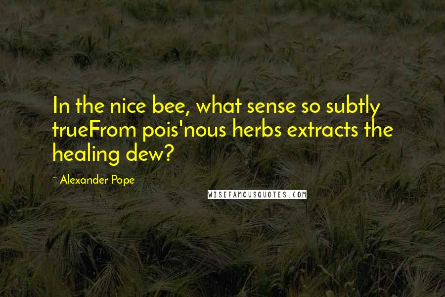 Alexander Pope Quotes: In the nice bee, what sense so subtly trueFrom pois'nous herbs extracts the healing dew?