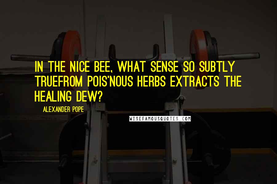 Alexander Pope Quotes: In the nice bee, what sense so subtly trueFrom pois'nous herbs extracts the healing dew?