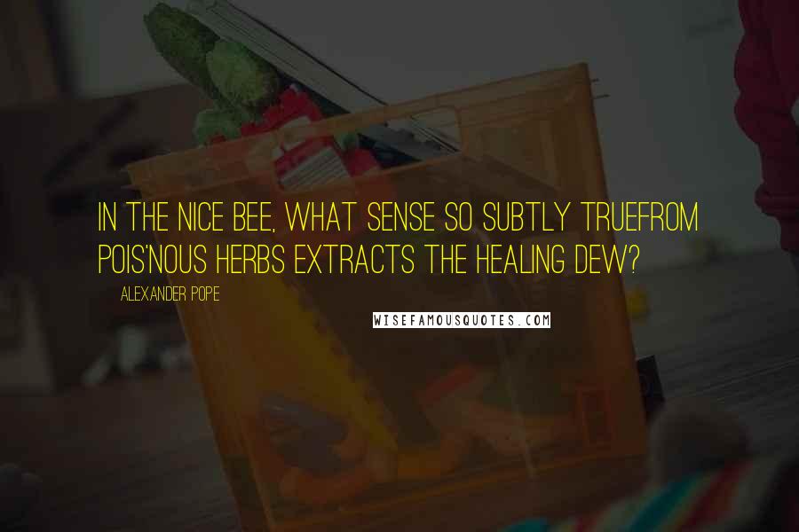 Alexander Pope Quotes: In the nice bee, what sense so subtly trueFrom pois'nous herbs extracts the healing dew?