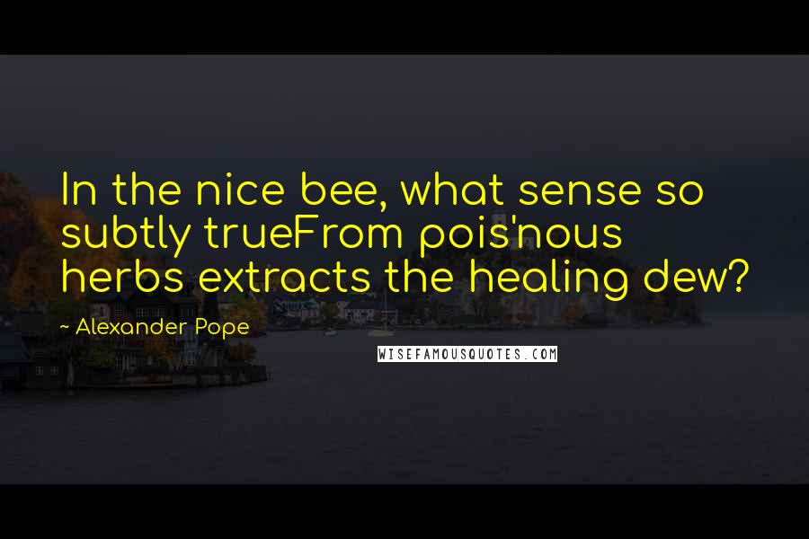 Alexander Pope Quotes: In the nice bee, what sense so subtly trueFrom pois'nous herbs extracts the healing dew?