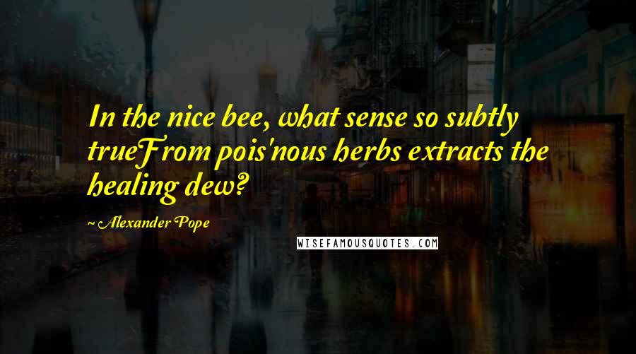 Alexander Pope Quotes: In the nice bee, what sense so subtly trueFrom pois'nous herbs extracts the healing dew?