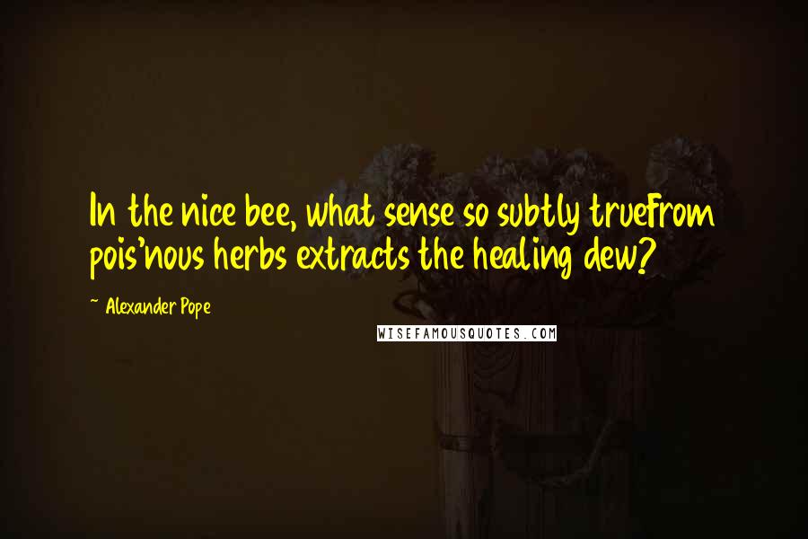 Alexander Pope Quotes: In the nice bee, what sense so subtly trueFrom pois'nous herbs extracts the healing dew?