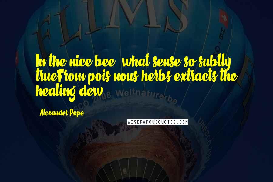 Alexander Pope Quotes: In the nice bee, what sense so subtly trueFrom pois'nous herbs extracts the healing dew?