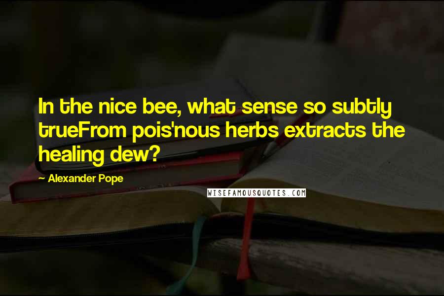 Alexander Pope Quotes: In the nice bee, what sense so subtly trueFrom pois'nous herbs extracts the healing dew?