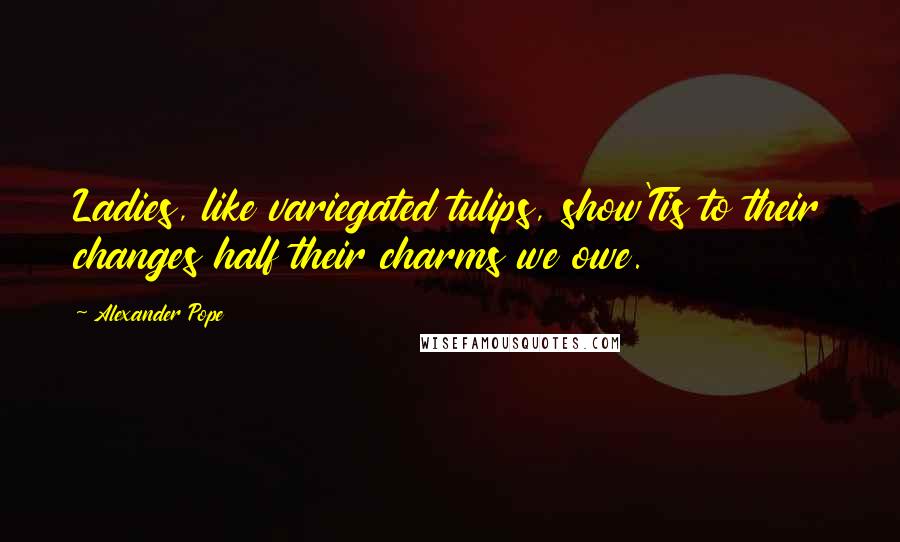 Alexander Pope Quotes: Ladies, like variegated tulips, show'Tis to their changes half their charms we owe.