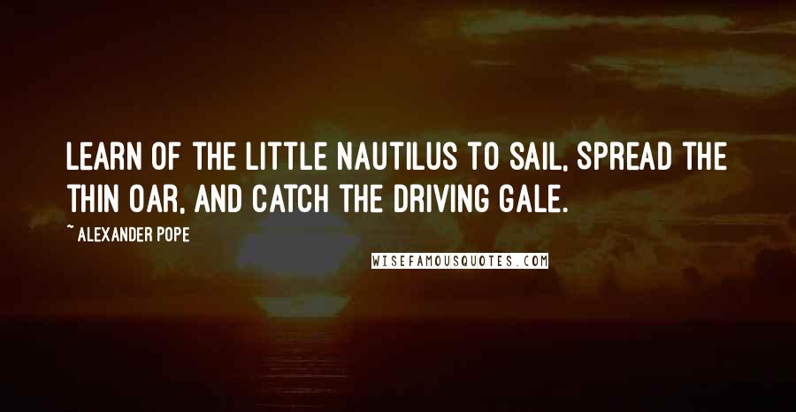 Alexander Pope Quotes: Learn of the little nautilus to sail, Spread the thin oar, and catch the driving gale.