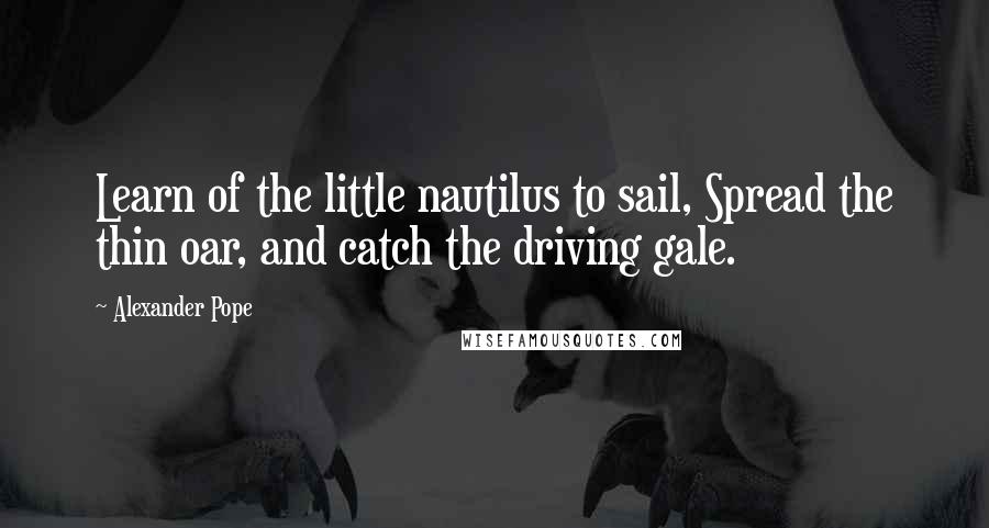 Alexander Pope Quotes: Learn of the little nautilus to sail, Spread the thin oar, and catch the driving gale.