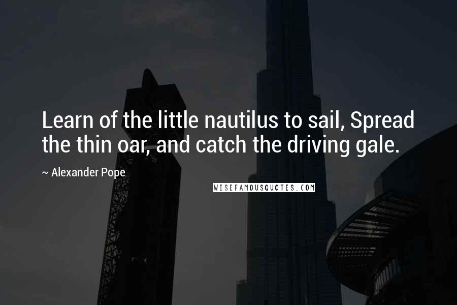 Alexander Pope Quotes: Learn of the little nautilus to sail, Spread the thin oar, and catch the driving gale.