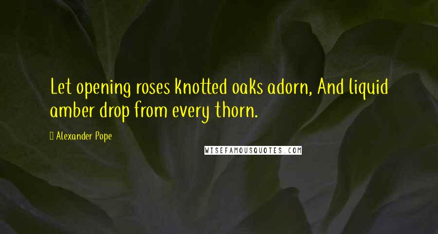 Alexander Pope Quotes: Let opening roses knotted oaks adorn, And liquid amber drop from every thorn.