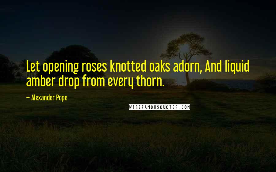 Alexander Pope Quotes: Let opening roses knotted oaks adorn, And liquid amber drop from every thorn.