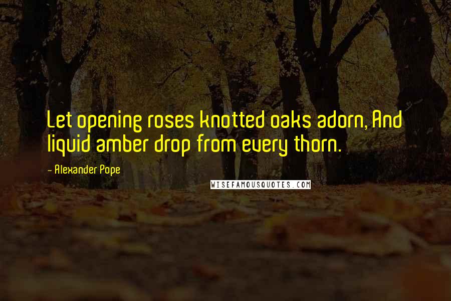 Alexander Pope Quotes: Let opening roses knotted oaks adorn, And liquid amber drop from every thorn.