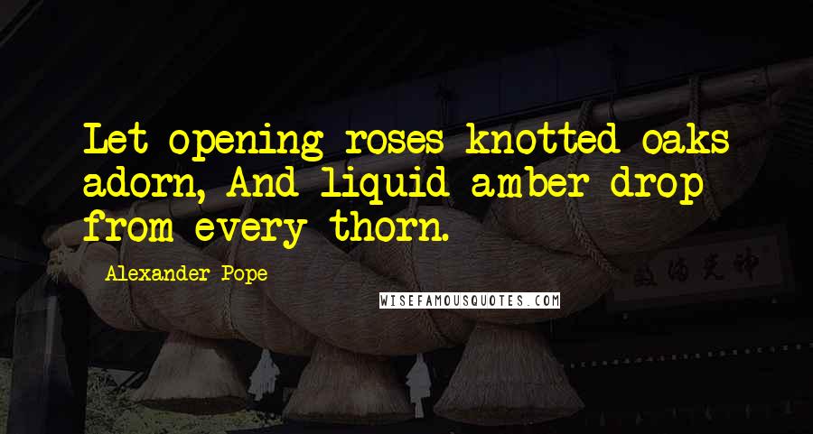 Alexander Pope Quotes: Let opening roses knotted oaks adorn, And liquid amber drop from every thorn.