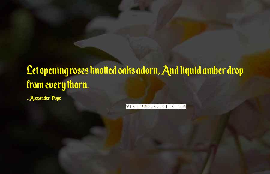 Alexander Pope Quotes: Let opening roses knotted oaks adorn, And liquid amber drop from every thorn.