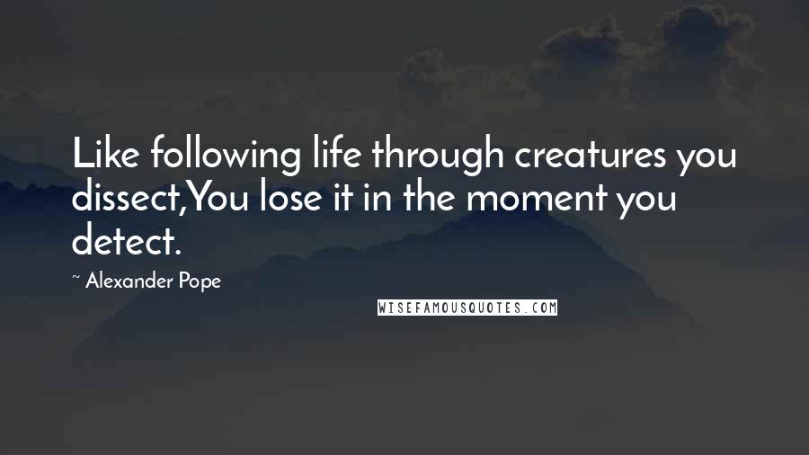 Alexander Pope Quotes: Like following life through creatures you dissect,You lose it in the moment you detect.