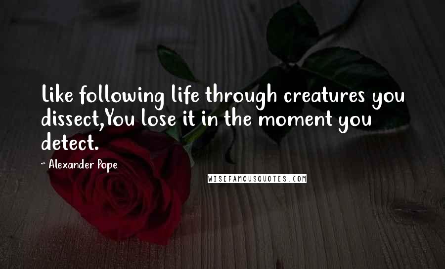 Alexander Pope Quotes: Like following life through creatures you dissect,You lose it in the moment you detect.