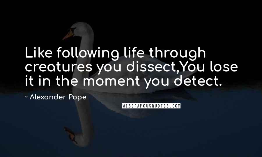 Alexander Pope Quotes: Like following life through creatures you dissect,You lose it in the moment you detect.