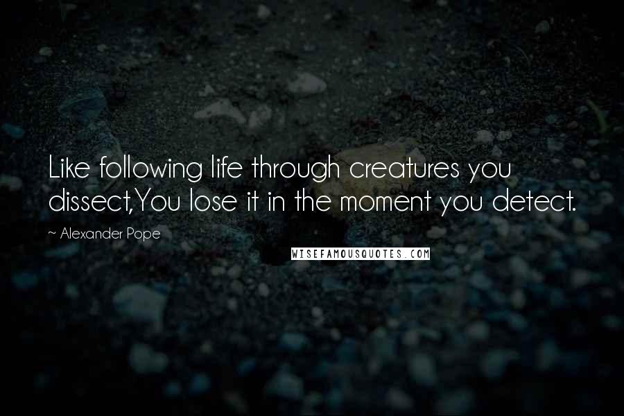 Alexander Pope Quotes: Like following life through creatures you dissect,You lose it in the moment you detect.