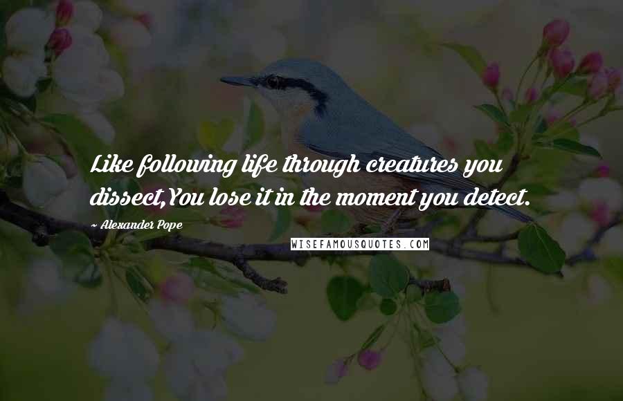 Alexander Pope Quotes: Like following life through creatures you dissect,You lose it in the moment you detect.