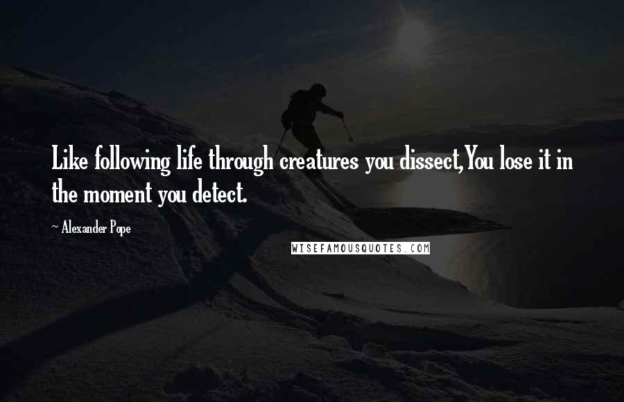 Alexander Pope Quotes: Like following life through creatures you dissect,You lose it in the moment you detect.
