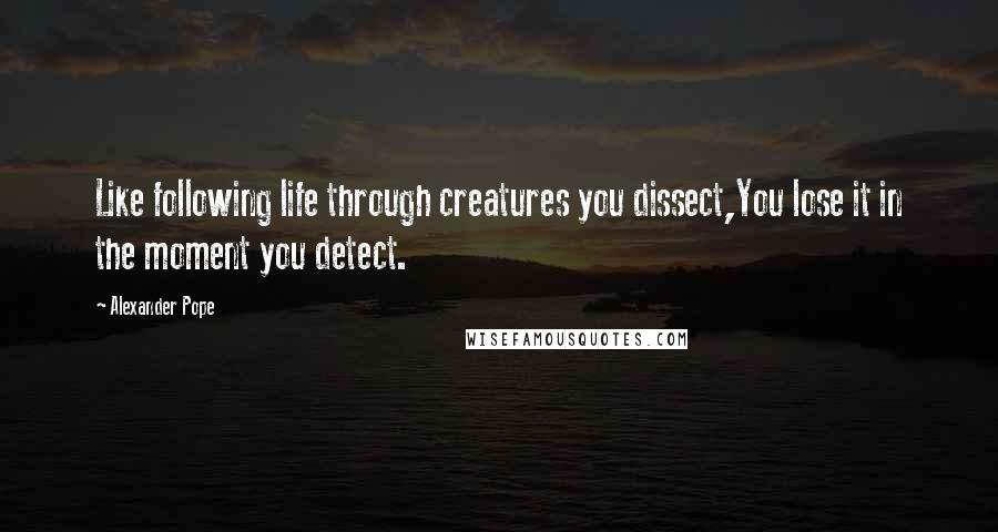Alexander Pope Quotes: Like following life through creatures you dissect,You lose it in the moment you detect.