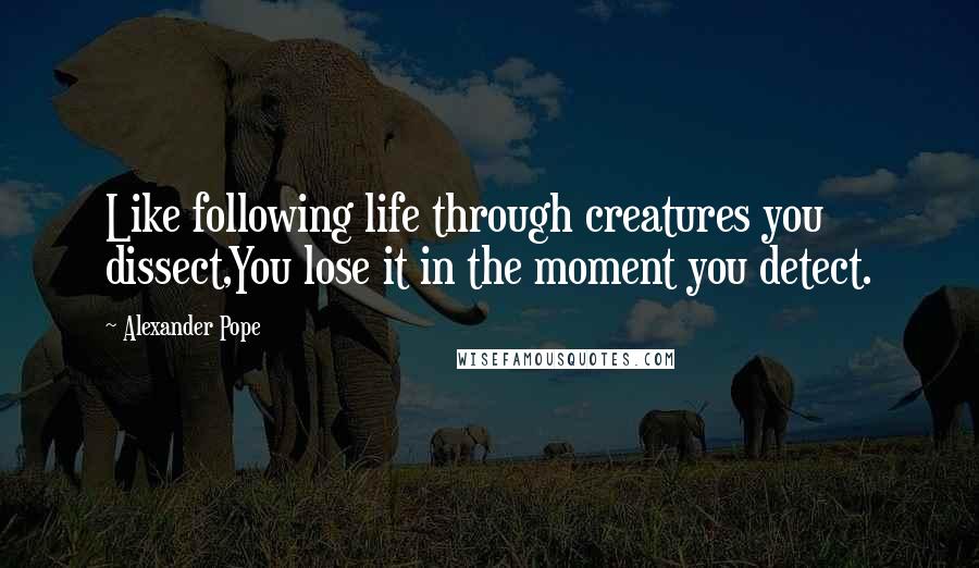 Alexander Pope Quotes: Like following life through creatures you dissect,You lose it in the moment you detect.
