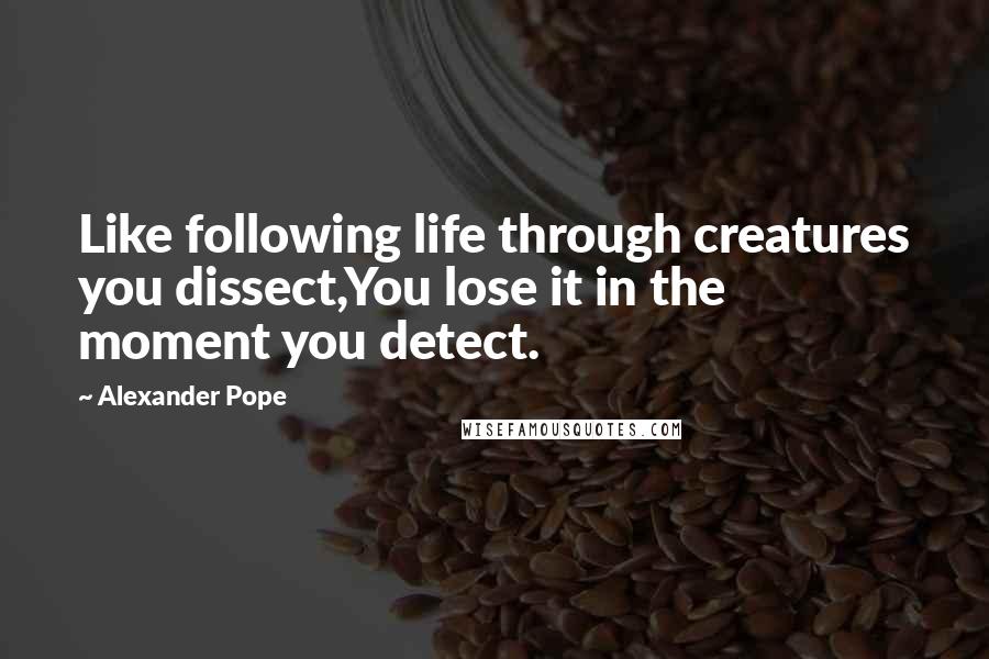Alexander Pope Quotes: Like following life through creatures you dissect,You lose it in the moment you detect.