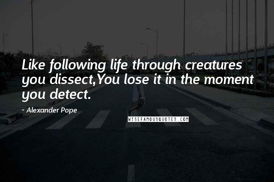 Alexander Pope Quotes: Like following life through creatures you dissect,You lose it in the moment you detect.