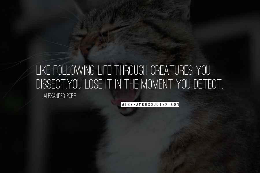 Alexander Pope Quotes: Like following life through creatures you dissect,You lose it in the moment you detect.