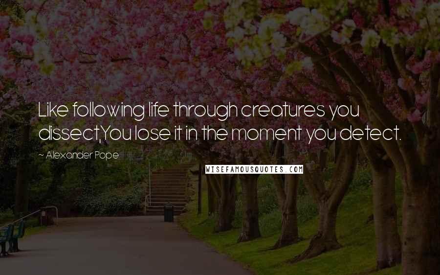 Alexander Pope Quotes: Like following life through creatures you dissect,You lose it in the moment you detect.