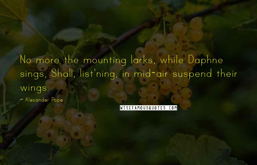 Alexander Pope Quotes: No more the mounting larks, while Daphne sings, Shall, list'ning, in mid-air suspend their wings.