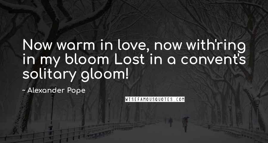 Alexander Pope Quotes: Now warm in love, now with'ring in my bloom Lost in a convent's solitary gloom!