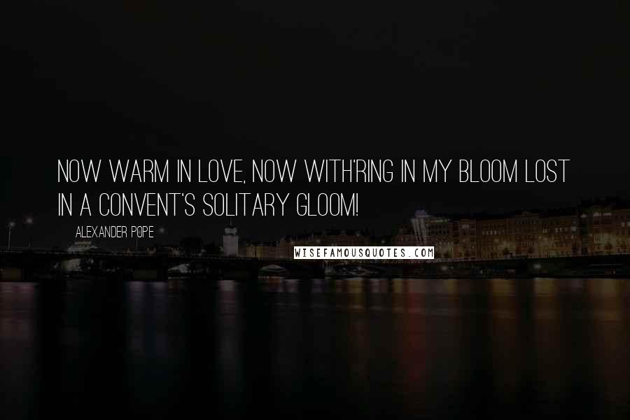 Alexander Pope Quotes: Now warm in love, now with'ring in my bloom Lost in a convent's solitary gloom!