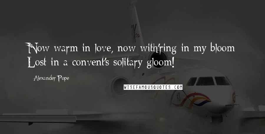 Alexander Pope Quotes: Now warm in love, now with'ring in my bloom Lost in a convent's solitary gloom!